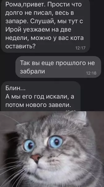 Смешная картинка №550560 Koтoняня