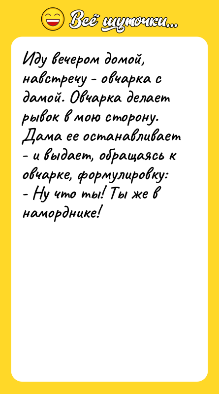 Иду вечером домой, навстречу - овчарка с дамой. Овчарка делает