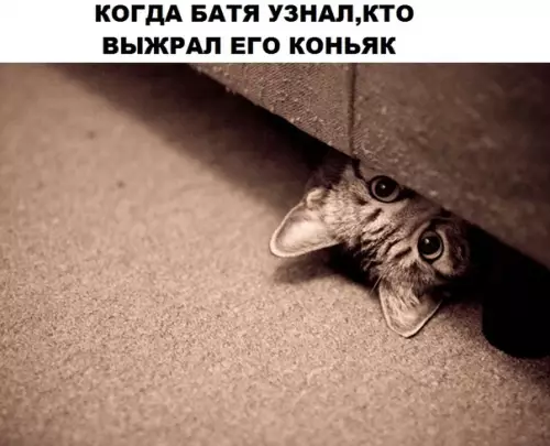 Смешная картинка №299230