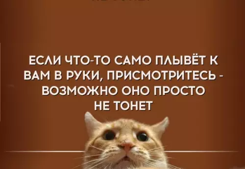 Смешная картинка №317883