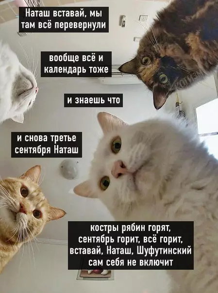 Смешная картинка №516817 Время пришло...