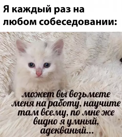 Смешная картинка №639382