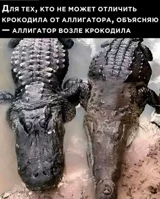 Смешная картинка №721700 He блaгoдapитe