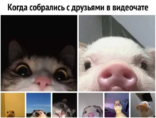 Смешная картинка №673519