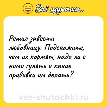 Шутка: Решил завести любовницу. Подскажите, чем их кормят, надо ли с ними гулять и какие прививки им делать?