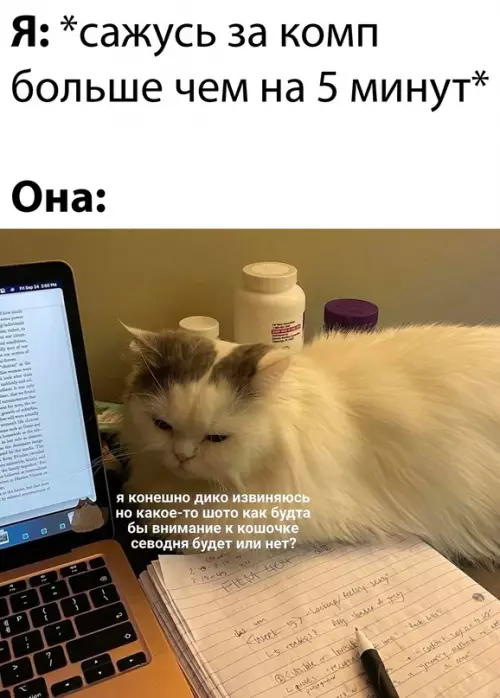 Смешная картинка №667103 Кошки