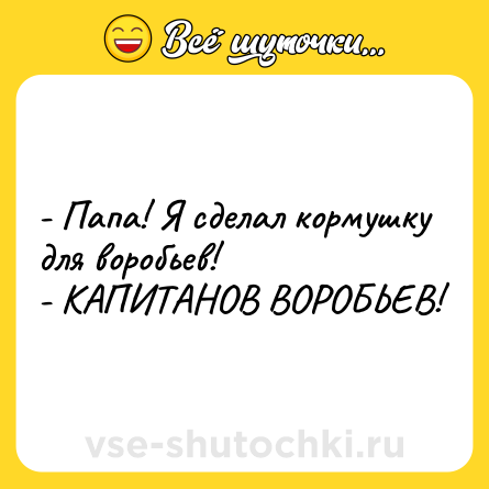 Шутка: - Папа! Я сделал кормушку для воробьев!<br>- КАПИТАНОВ ВОРОБЬЕВ!
