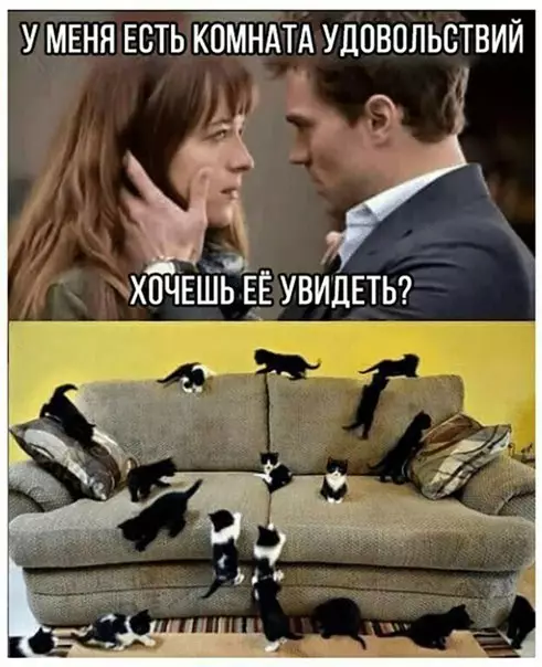 Смешная картинка №253056 котята