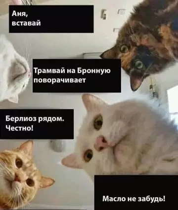 Смешная картинка №747969 Торопись 