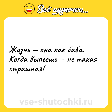 Шутка: Жизнь — она как баба. Когда выпьешь — не такая страшная!