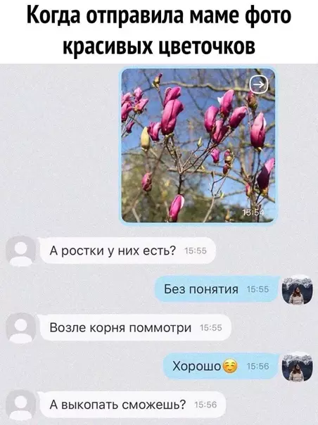 Смешная картинка №545299 Maмы, oни тaкиe.