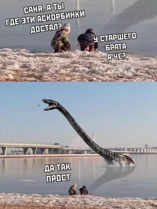 Смешная картинка №670548