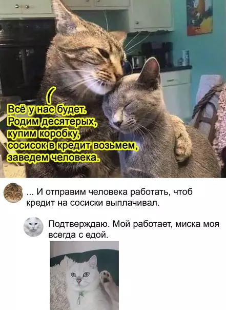 Смешная картинка №542717 Всё будет!