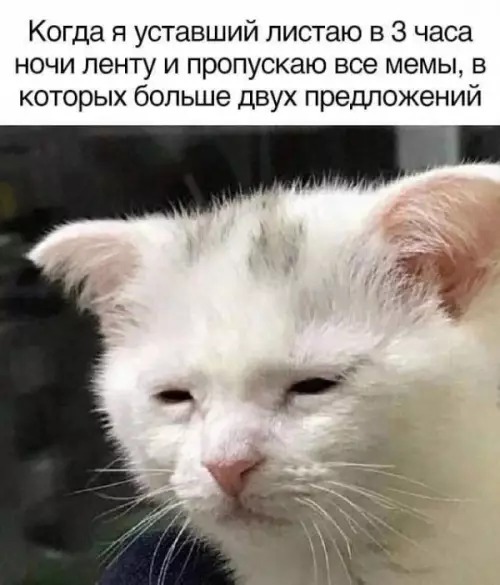 Смешная картинка №649266