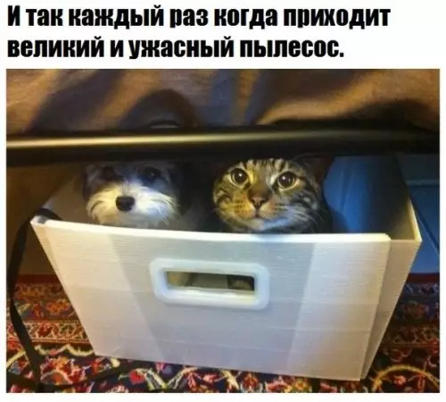 Смешная картинка №344910 У вас дома также?
