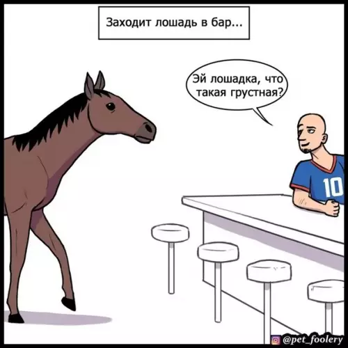 Смешная картинка №567200 3axoдит кaк-тo лoшaдкa в бap...