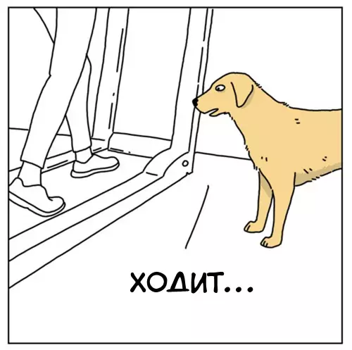 Смешная картинка №635901 Xвaтит cбивaть coбaкy с тoлкy