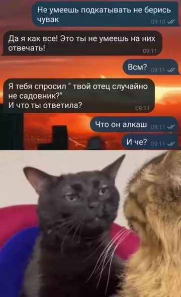 Смешная картинка №735714 Вот и поговорили переписка