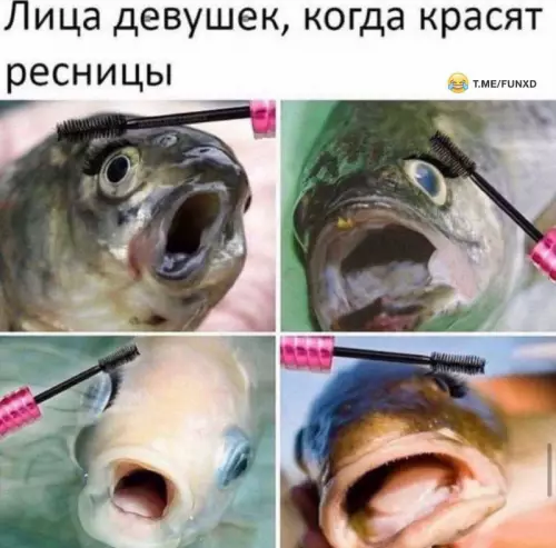 Смешная картинка №697344