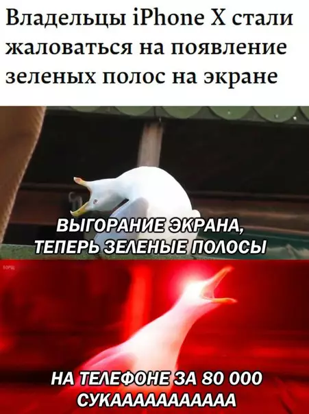 Смешная картинка №221614