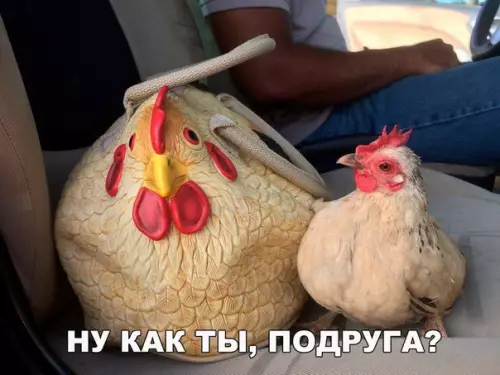 Смешная картинка №177702