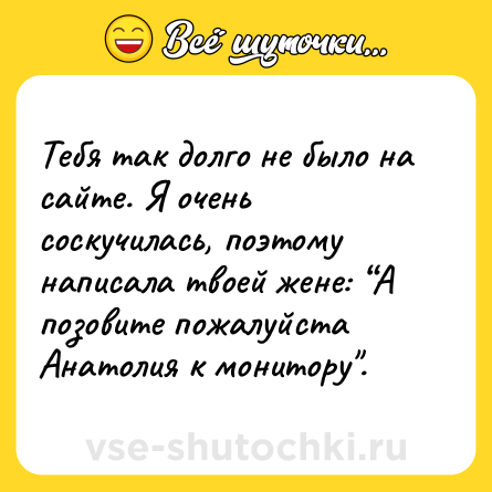 Шутка: Тебя так долго не было на сайте. Я очень соскучилась, поэтому написала твоей жене: “А позовите пожалуйста Анатолия к монитору