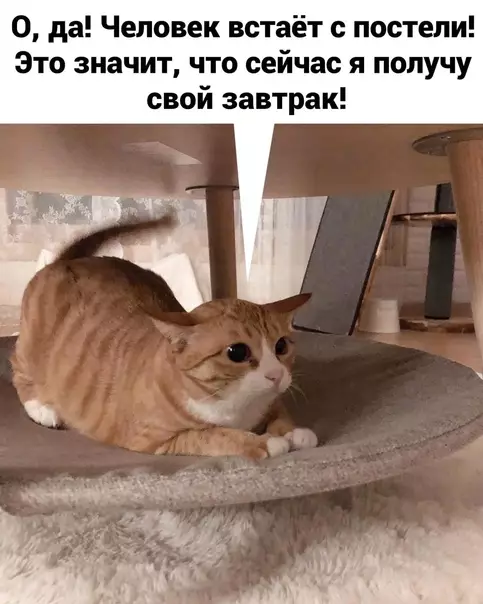 Смешная картинка №573944