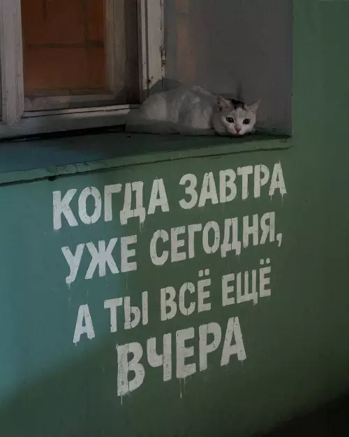 Смешная картинка №799403