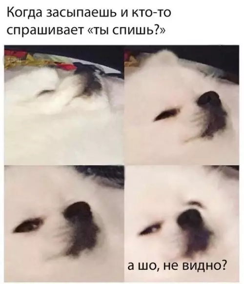 Смешная картинка №243975