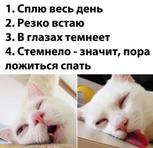 Смешная картинка №609902