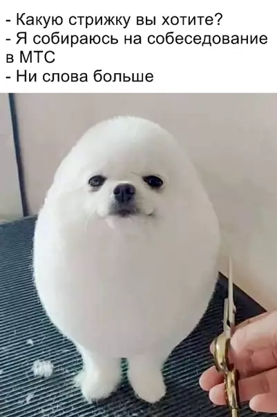 Смешная картинка №352989