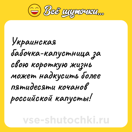 Шутка: Украинская бабочка-капустница за свою короткую жизнь может надкусить более пятидесяти кочанов российской капусты!