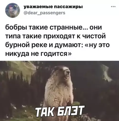 Смешная картинка №567850
