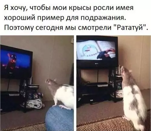Смешная картинка №245216