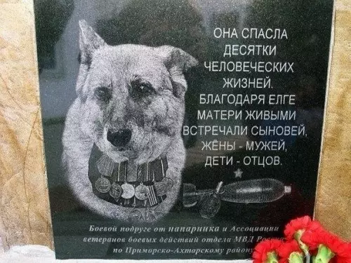 Смешная картинка №189307