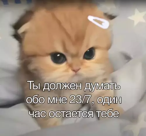 Смешная картинка №718376