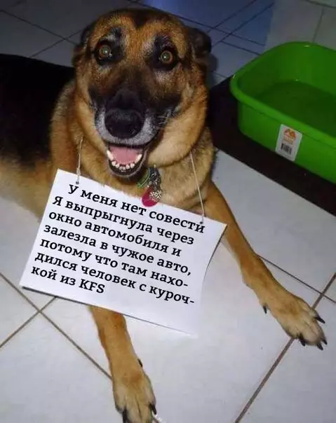 Смешная картинка №264846