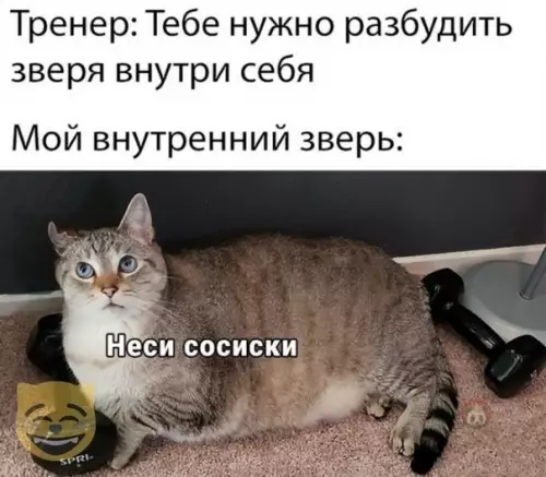 Смешная картинка №519507 Жиза?)
