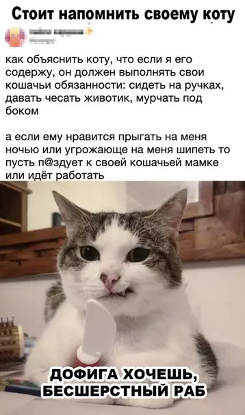 Смешная картинка №467272 Справедливо!