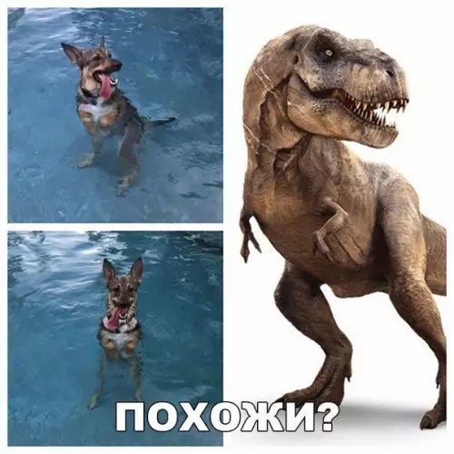 Смешная картинка №215143