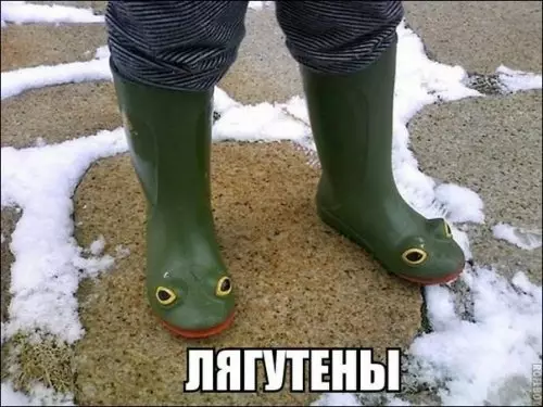 Смешная картинка №309538