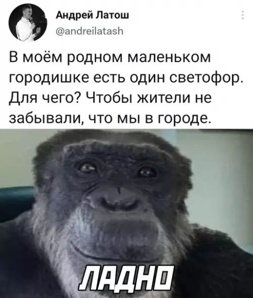 Смешная картинка №625721