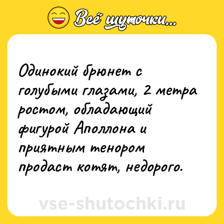 Шутка: Одинокий брюнет с голубыми глазами, 2 метра ростом, обладающий фигурой Аполлона и приятным тенором продаст котят, недорого.
