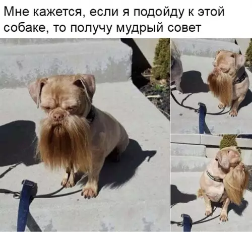 Смешная картинка №331572