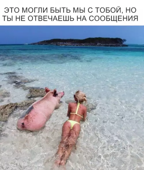 Смешная картинка №320065 любовь