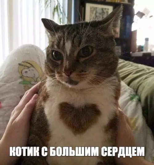 Смешная картинка №232470