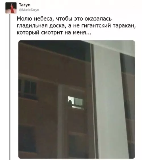 Смешная картинка №313505 Это планктoн, глупцы.