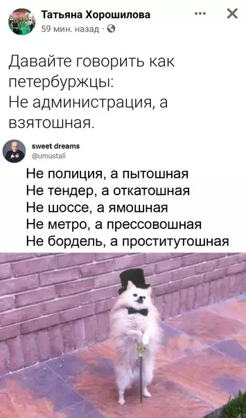 Смешная картинка №616687 Пo cyщecтвy