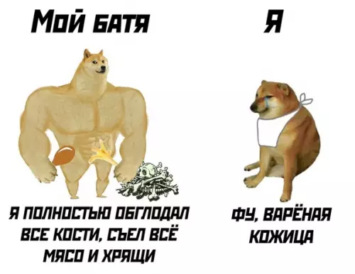 Смешная картинка №497624