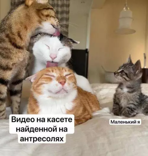 Смешная картинка №754214